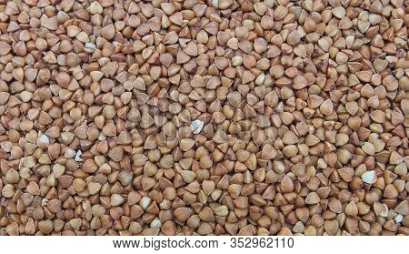 Buckwheat Grains, Brown Seeds, Background, Texture. Grechka