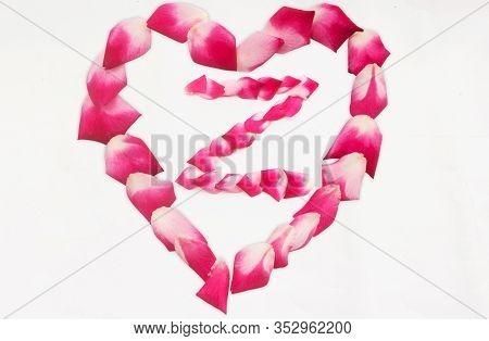 Love Shape Rose Petal Letter Z Background Image On White Background. Letter Z Into Love Shape