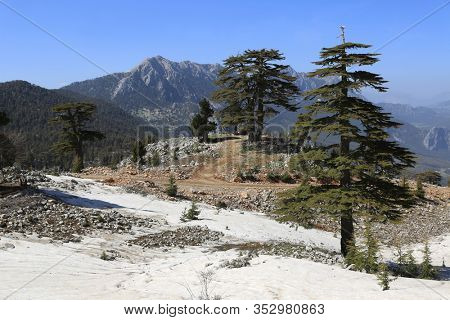 Mountain pathway among snow and cedar trees to Tahtali Dagi mountain top. Likya Yolu tourist pathay in Turkey