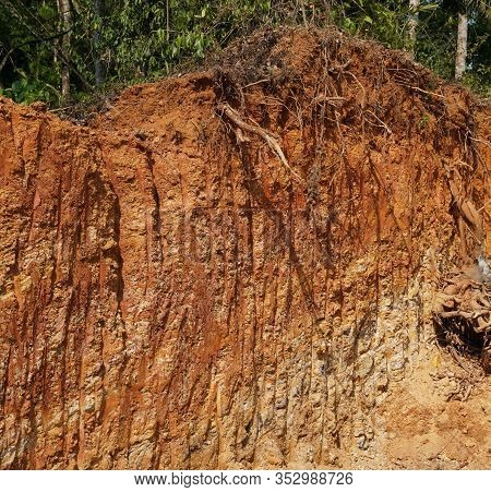 Deforestation Close Up With Roots, Rocks Showing In Sunlight. Red And Yellow Rocks Where Soil Was Du