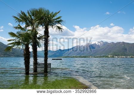 Lakeside View With Flooded Palms And A Bench Near Ascona Ticino, Switzerland. Snowy Mountain In The 
