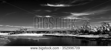 Black and white infrared photograph of the Atlantic coast of South Carolina, abstract surreal landscape.