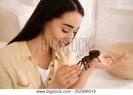 Woman Holding Striped Knee Tarantula At Home. Exotic Pet