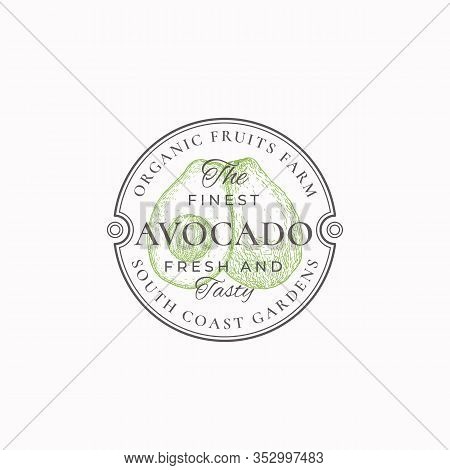 Avocado Farm Round Frame Badge Or Logo Template. Hand Drawn Avocado With Half Sketch With Retro Typo