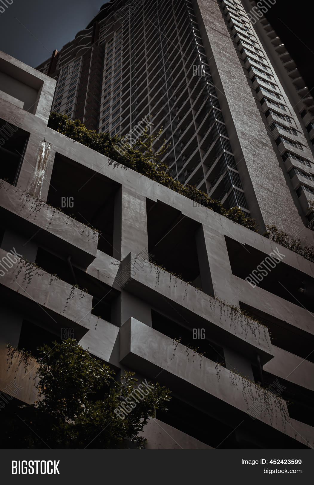Structure Pattern Image & Photo (Free Trial) | Bigstock