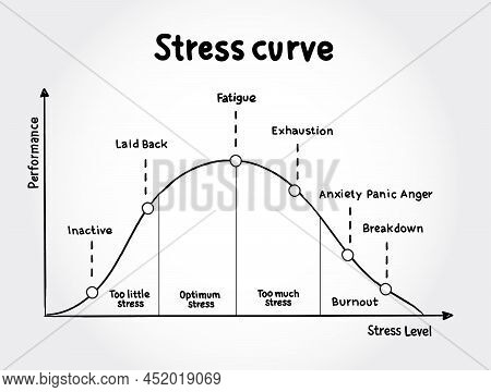 Different Stages Of The Stress Curve, Educational Diagram Concept For Presentations And Reports