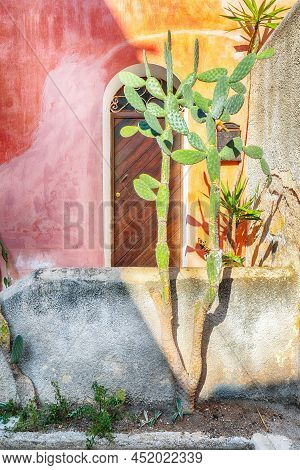Typical Sicilian Houses. Cactus Against Pink Wall. Location: Sant'elia, Santa Flavia, Province Of Pa