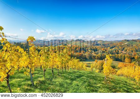 Breathtaking Vineyards Landscape In South Styria Near Gamlitz. Autumn Scene Of Grape Hills In Popula
