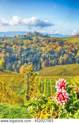 Splendid Vineyards Landscape In South Styria Near Gamlitz. Autumn Scene Of Grape Hills In Popular Tr