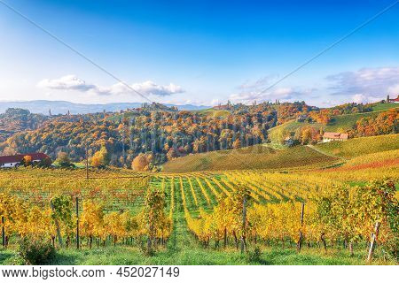 Splendid Vineyards Landscape In South Styria Near Gamlitz. Autumn Scene Of Grape Hills In Popular Tr