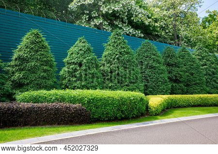Roadside Asphalt Road With Drainage Canal With Green Plants Deciduous Bushes And Pine Trees.