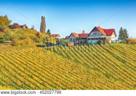 Fabulous Vineyards Landscape In South Styria Near Gamlitz. Autumn Scene Of Grape Hills In Popular Tr