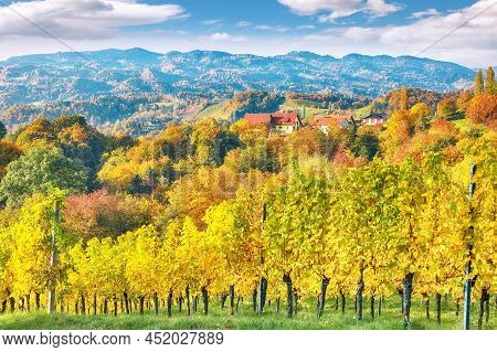 Stunning Vineyards Landscape In South Styria Near Gamlitz. Autumn Scene Of Grape Hills In Popular Tr