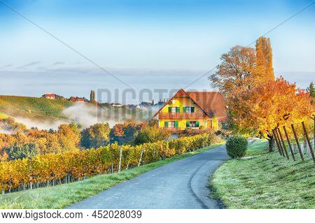 Astonishing Vineyards Landscape In South Styria Near Gamlitz. Autumn Scene Of Grape Hills In Popular