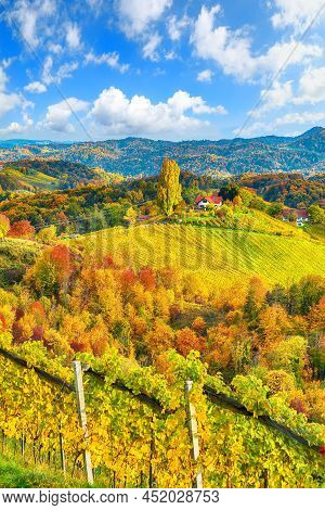Breathtaking Vineyards Landscape In South Styria Near Gamlitz. Autumn Scene Of Grape Hills In Popula