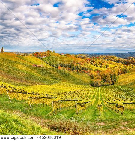 Splendid Vineyards Landscape In South Styria Near Gamlitz. Autumn Scene Of Grape Hills In Popular Tr