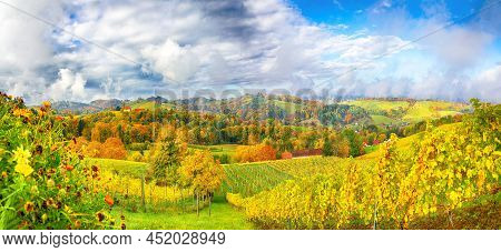 Fabulous Vineyards Landscape In South Styria Near Gamlitz. Autumn Scene Of Grape Hills In Popular Tr