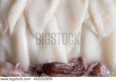 Close Up Of Deep-frozen Clean Squid. Frozen Food And Fish.