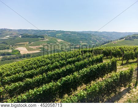 Hills With Vineyards Of The Langhe Between Serralunga D'alba And Castiglion Falletto, Piedmont - Ita