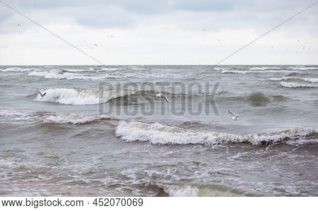 Huge Waves Raging In The Sea And Seagulls In The Spray Of Waves. Storm At Sea. Birds Fly Over The Wa