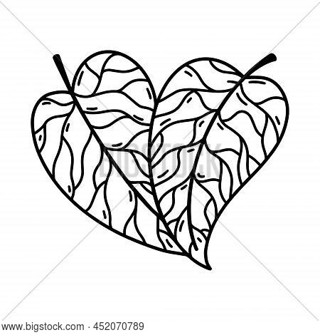 Leaves Heart Shaped Vector Icon. Hand Drawn Illustration Isolated On White Background. Botanical Ele