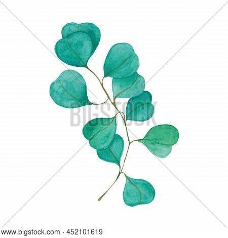 Watercolor Floral Illustration Set - Green Leaf Branches Collection, For Wedding Stationary, Greetin