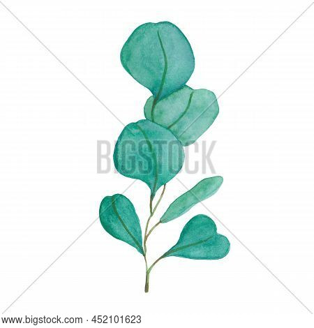 Watercolor Floral Illustration Set - Green Leaf Branches Collection, For Wedding Stationary, Greetin