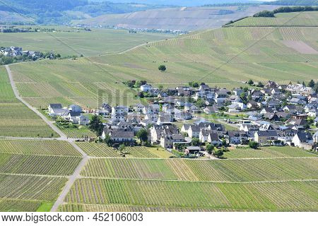 Trittenheim, Germany - 06 01 2021: Mosel Valley Village With Vineyards All Around