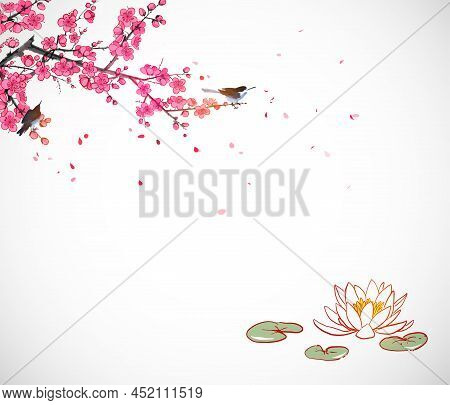 Lotus Flowers Under The Blooming Sakura Branch On White Background.
