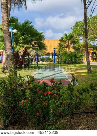 Outdoor Shuffleboard Court In A Tropical Resort Framed With Flowers