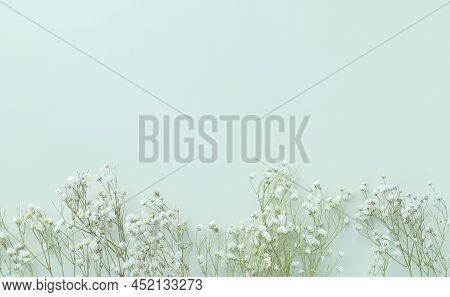 Gypsophila Flowers On Green Pastel Background, Minimalism, Spring Flower Blosssom Concept, Flat Lay,