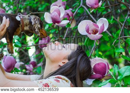 Woman Playing With Her Dog Outdoors. Beautiful Brunette Girl Near Spring Blossom Park Kising Her Fun