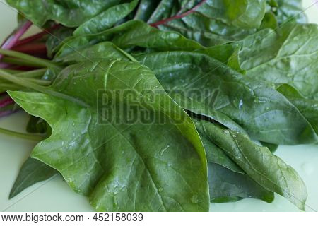 Salad Leaves On Light Green Background, Raw Green Leaf Vegetables. Beet Leaves, Mangold Leafs For Po