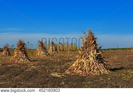 Haystacks On The Field . Agricultural Terrain With Hay Bales