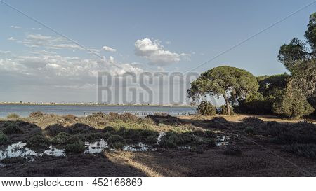 Donana National Park In Spain A Unesco World Heritage Site