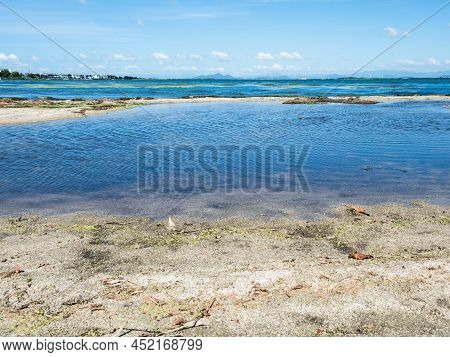 Scenic View From The Shores Of Lake Biwa At Sakamoto Castle Ruins Park In Otsu, Japan