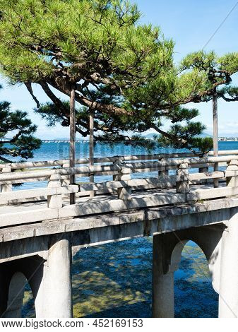 Pine Trees Growing Over A Bridge Leading To Ukimido Pavilion Of Mangetsuji Temple - Otsu, Shiga Pref