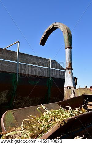 A Blower Is Sending Chopped Corn Stalks Into A Wagon.