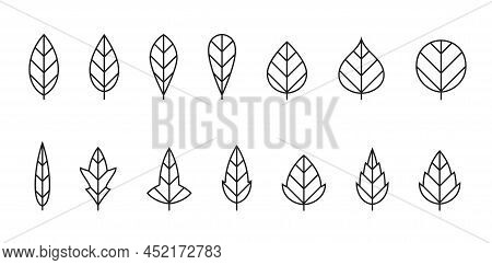 Leaf Line Icon Set. Eco And Botanical Symbols. Isolated Vector Image For Nature Concepts And Web Des