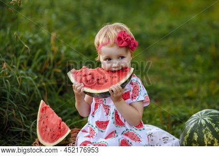 Little Girl In A White Dress Eats A Watermelon At A Picnic. She Laughs Merrily Sitting On A Wicker B