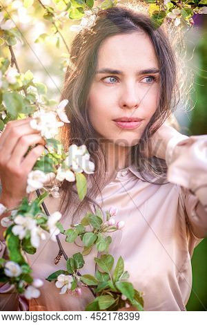 Tenderness Itself. A Young Woman Sniffs The Aroma  In A Blooming Apple Garden In Spring