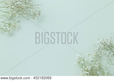 Gypsophila Flowers On Green Pastel Background, Minimalism, Spring Flower Blosssom Concept, Flat Lay,