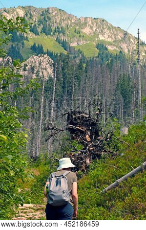The Girl Climbs The Mountains. Active Lifestyle. Climbing The Mountain