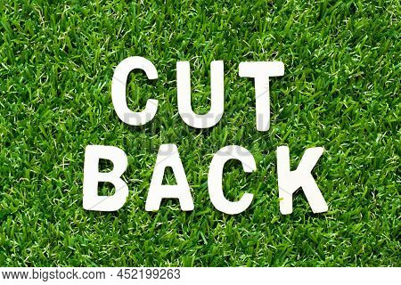 Wood Alphabet Letter In Word Cut Back On Green Grass Background