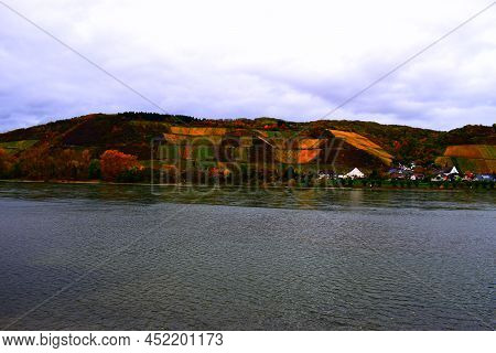 Colorful Autumn Vineyards Above The Rhine On A Rainy Day