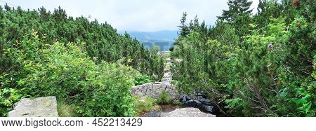 Pancavske Vodopady (pancava Waterfalls) On The River Labe - Elbe - In Krkonose, Giant Mountains, Cze