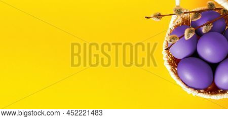Easter Holiday Card With Basket Full Of Purple Painted Eggs On Yellow Background, Pussy Willow Twigs