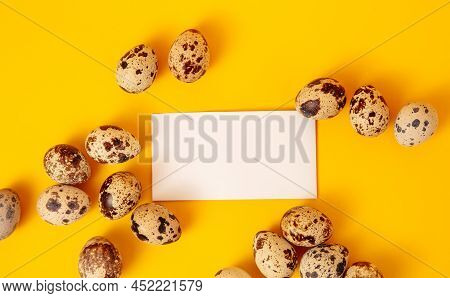Banner With Visiting Card, Quail Eggs, Feather On Yellow Paper Background. Copy Space. Empty Text Pl