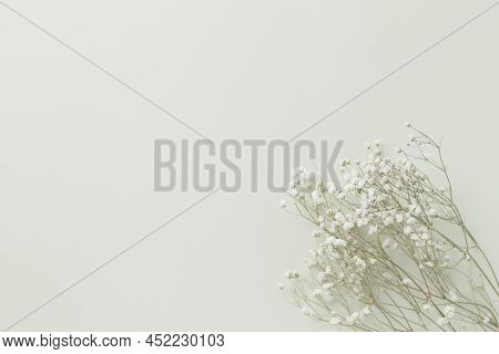 Gypsophila Flowers On Green Pastel Background, Minimalism, Spring Flower Blosssom Concept, Flat Lay,