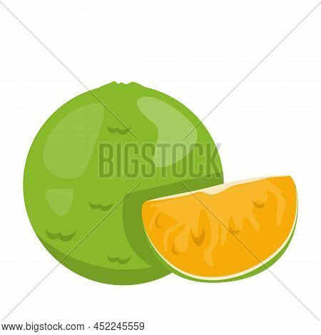 Calamansi Lime Vector Isolated. Juicy Raw Fruit